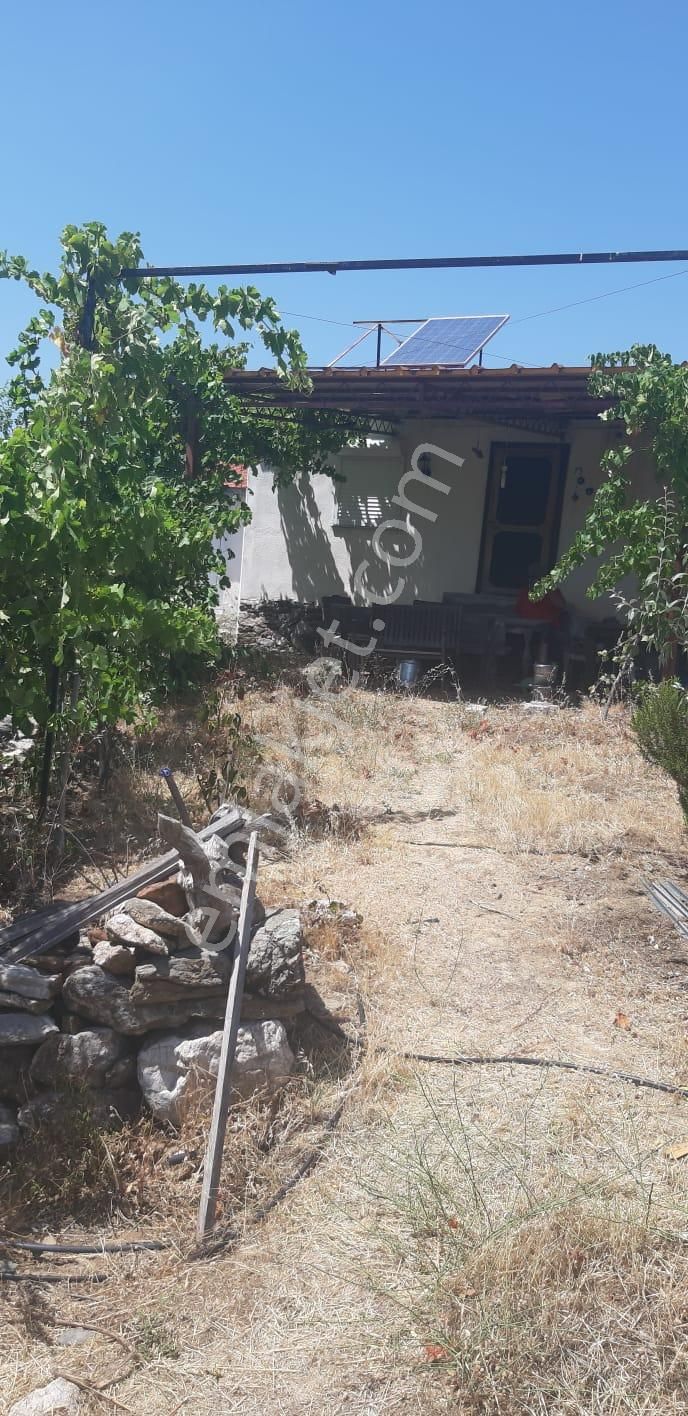 003-organik Sertifikalı Çiftlik - Görsel 26