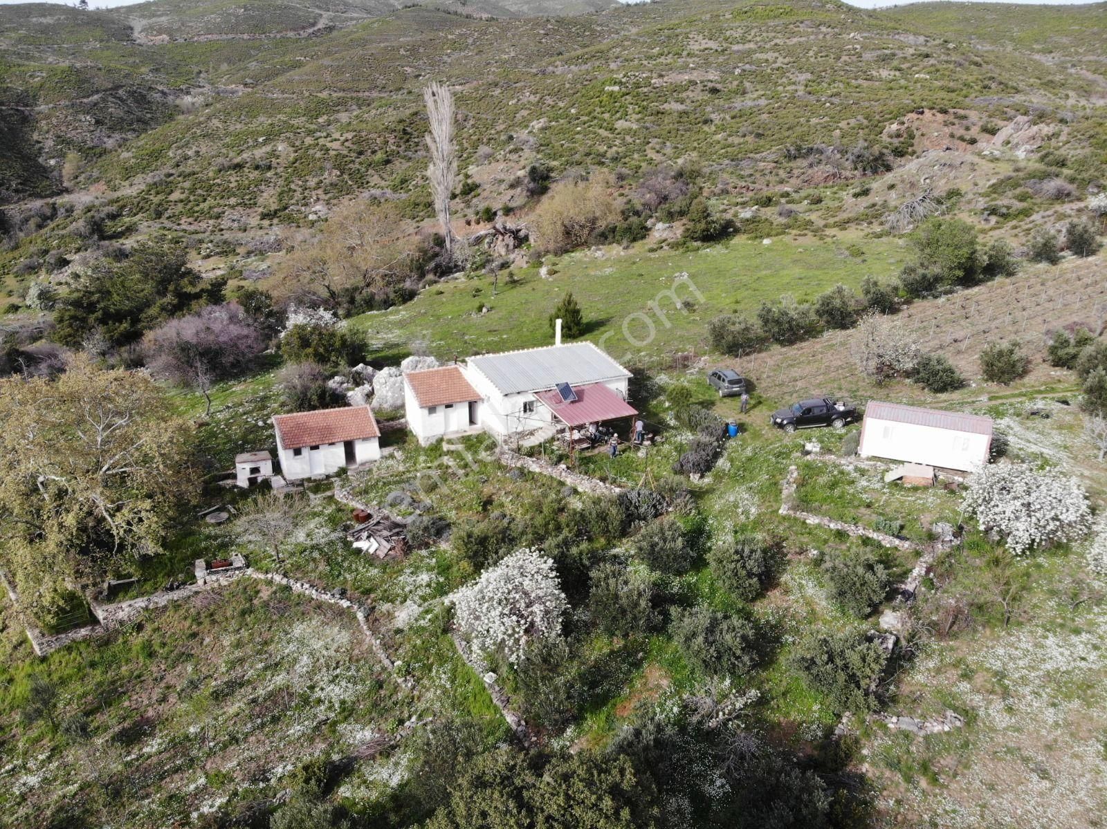 003-organik Sertifikalı Çiftlik - Görsel 4