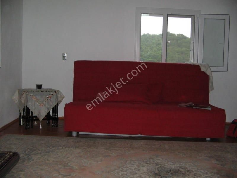 003-organik Sertifikalı Çiftlik - Görsel 14