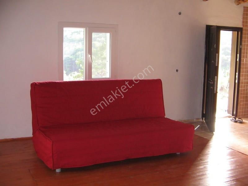 003-organik Sertifikalı Çiftlik - Görsel 9