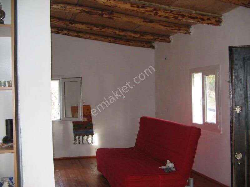 003-organik Sertifikalı Çiftlik - Görsel 6