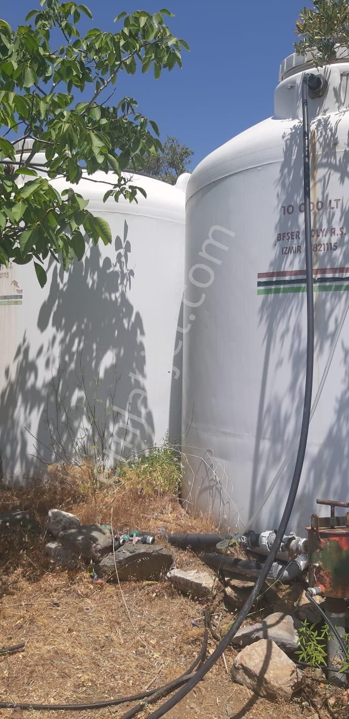 003-organik Sertifikalı Çiftlik - Görsel 19