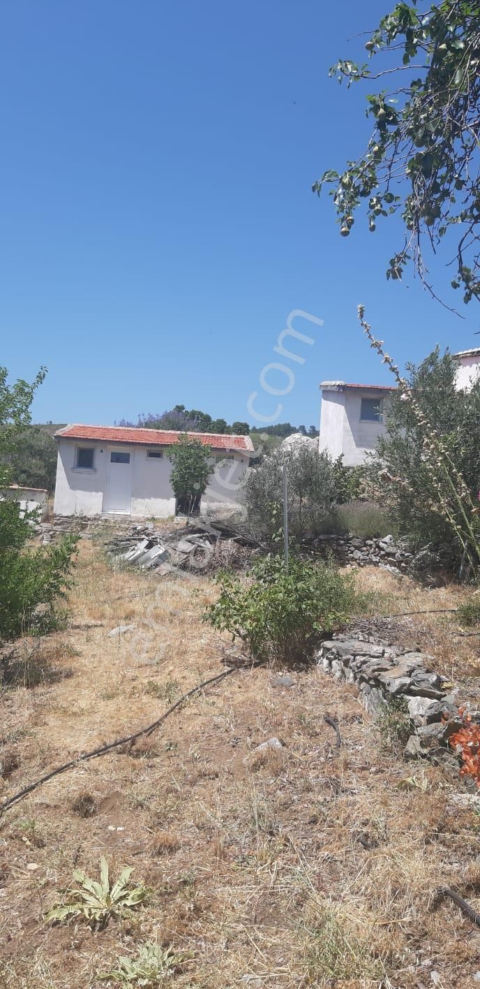 003-organik Sertifikalı Çiftlik - Görsel 30