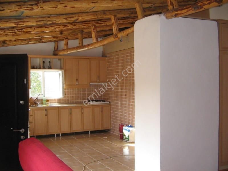 003-organik Sertifikalı Çiftlik - Görsel 10