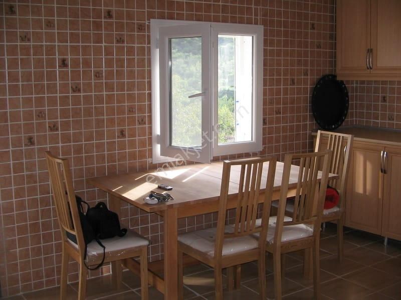 003-organik Sertifikalı Çiftlik - Görsel 5