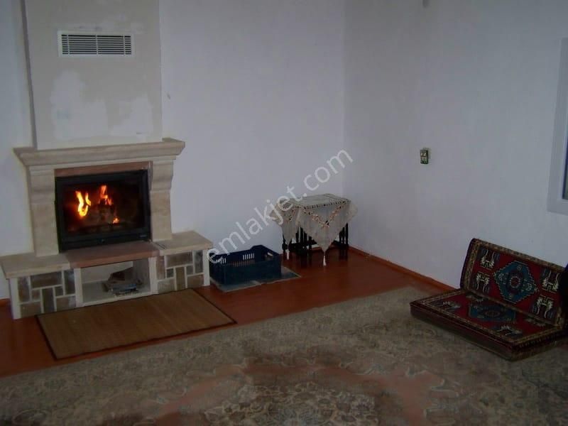 003-organik Sertifikalı Çiftlik - Görsel 12