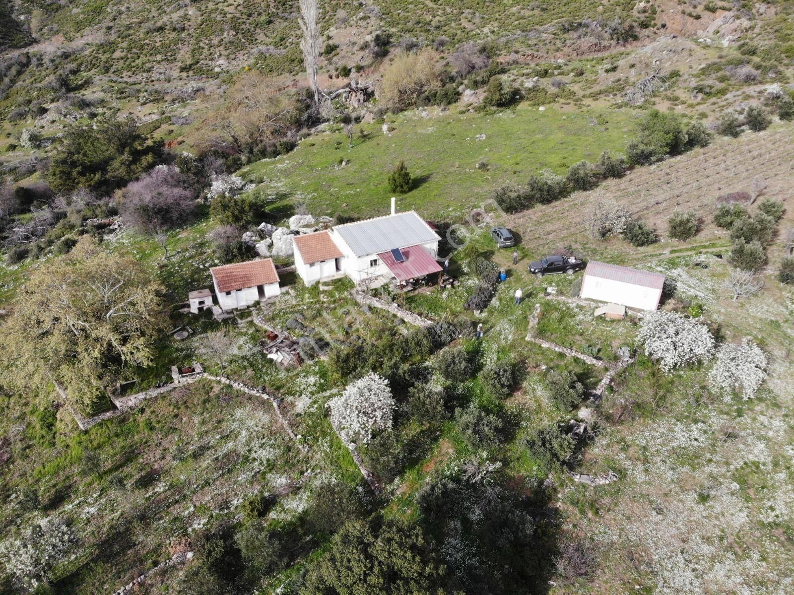 003-organik Sertifikalı Çiftlik - Görsel 8