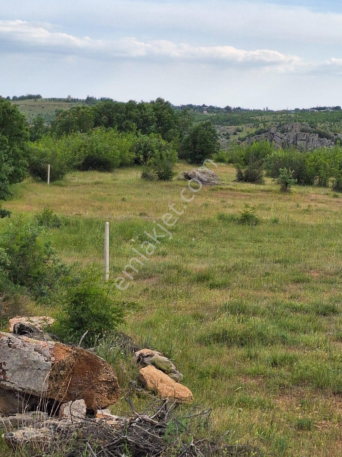 Kırklareli Demircihalil'de Satılık Muhteşem Doğa Manzaralı 9.076 M2 Tarla - Görsel 7