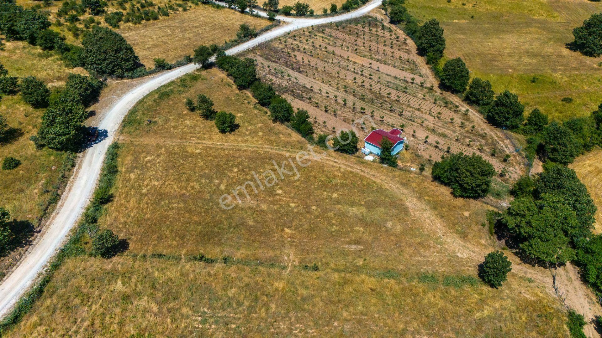 Lapseki Harmancık Köyü Satılık Tarla  ADİL ARASLIDAN LAPSEKİ HARMANCIK KÖYÜNDE 4972M2 YOLA CEPHE TARLA