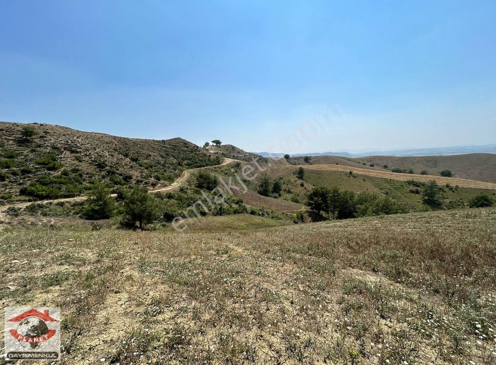 Karaisalı Kuzgun Satılık Tarla KUZGUN'DA TEPE KONUMDA YOLU AÇIK 10171METRE ARAZİ