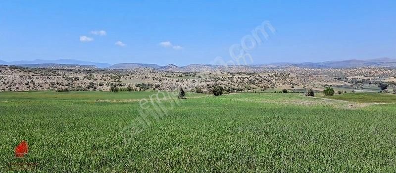 Güneyderede Hatunsaray Yolu Yakını 12700m2 Hesaplı Satılık Tarla - Görsel 26
