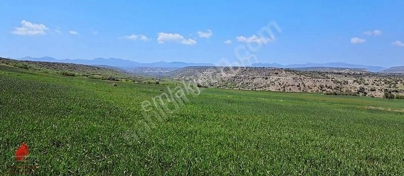 Güneyderede Hatunsaray Yolu Yakını 12700m2 Hesaplı Satılık Tarla - Görsel 13