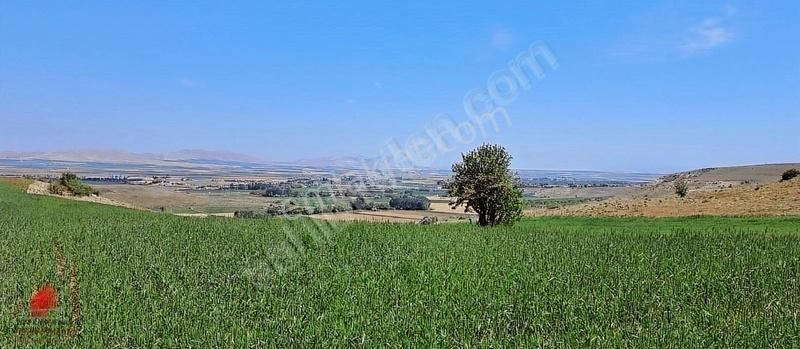 Meram Botsa Satılık Tarla Güneyderede Hatunsaray Yolu Yakını 12700m2 Hesaplı Satılık Tarla