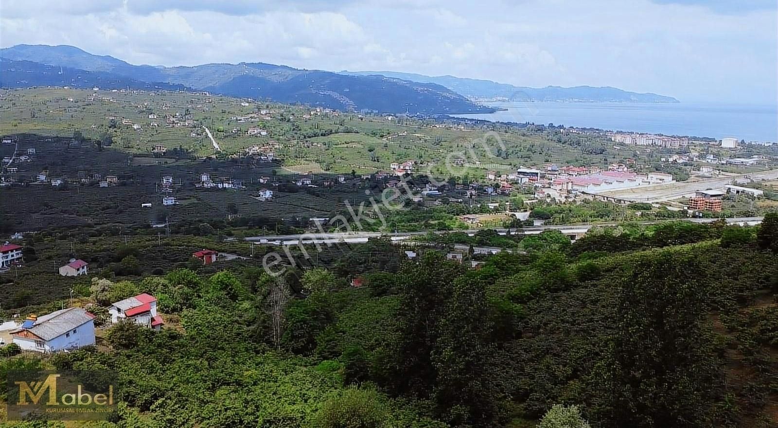 Altınordu Boztepe Satılık Bağ & Bahçe MABEL GAYRİMENKUL-BOZTEPE MAH.-SATILIK FINDIK BAHÇESİ