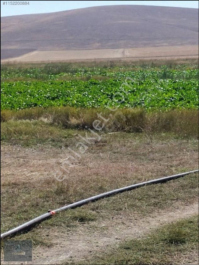 Pınarbaşı Kaynar Satılık Tarla Sat Sulu Tarla Kaynar Cumhuriyet/pınarbaşı/kayseri