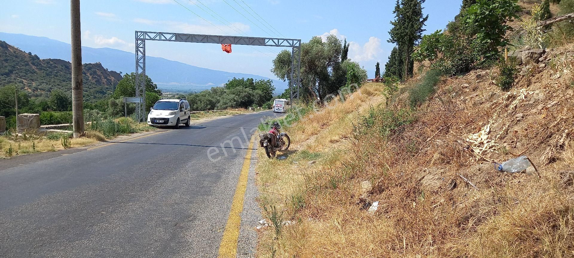 Nazilli Kestel Satılık Zeytinlik karayolu kenarı arsa