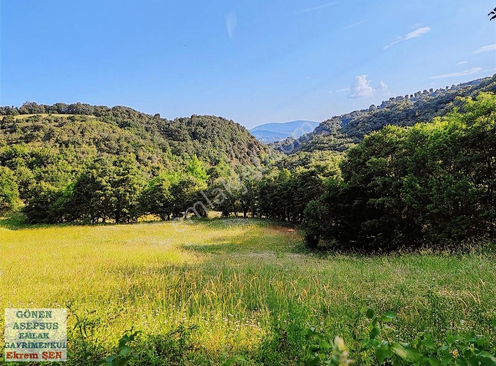 Yenice Yeşilköy Köyü Satılık Tarla 9.640 m2 Çiftlik, Bağ-Bahçe Su Çeşme Var Kadastro Yola Cepheli