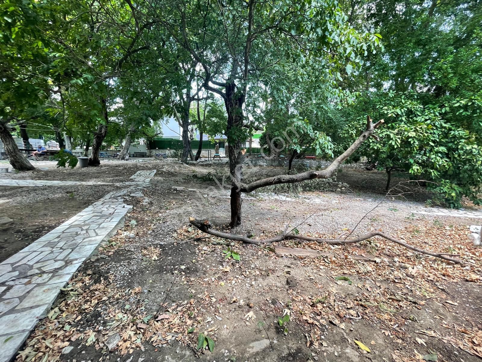 Sabri Pınarbaşı'dan İmara Sınır Yatırımlık Satılık Hobi Bahçesi (işletmeye Uygun) - Görsel 17