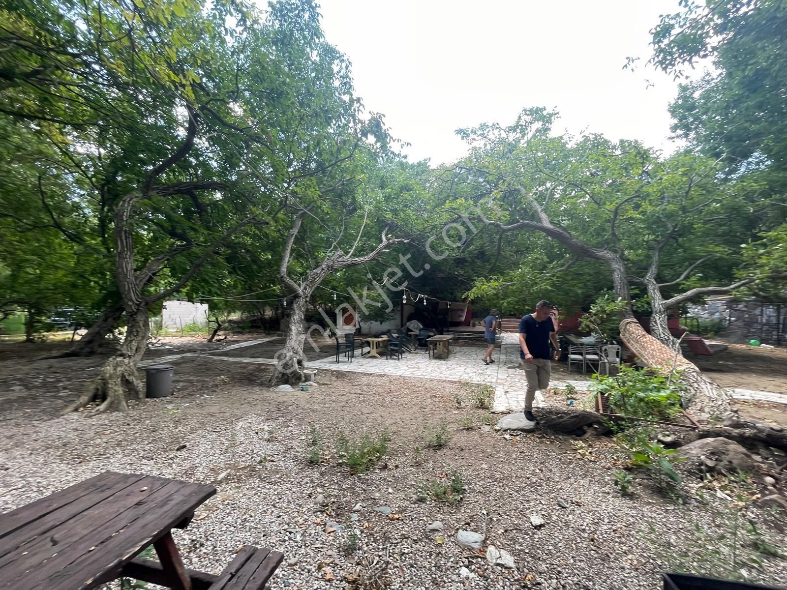 Sabri Pınarbaşı'dan İmara Sınır Yatırımlık Satılık Hobi Bahçesi (işletmeye Uygun) - Görsel 28