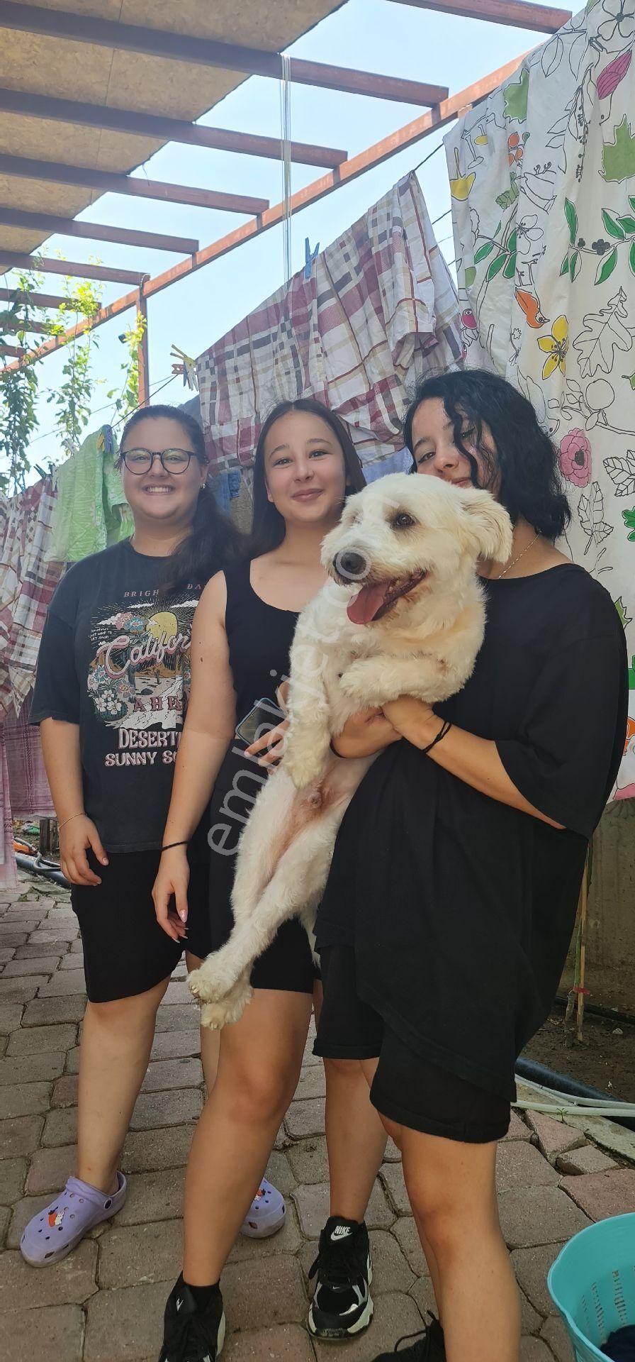 Ailenizle Huzurlu Bir Tatil İçin Buradayız - Görsel 30