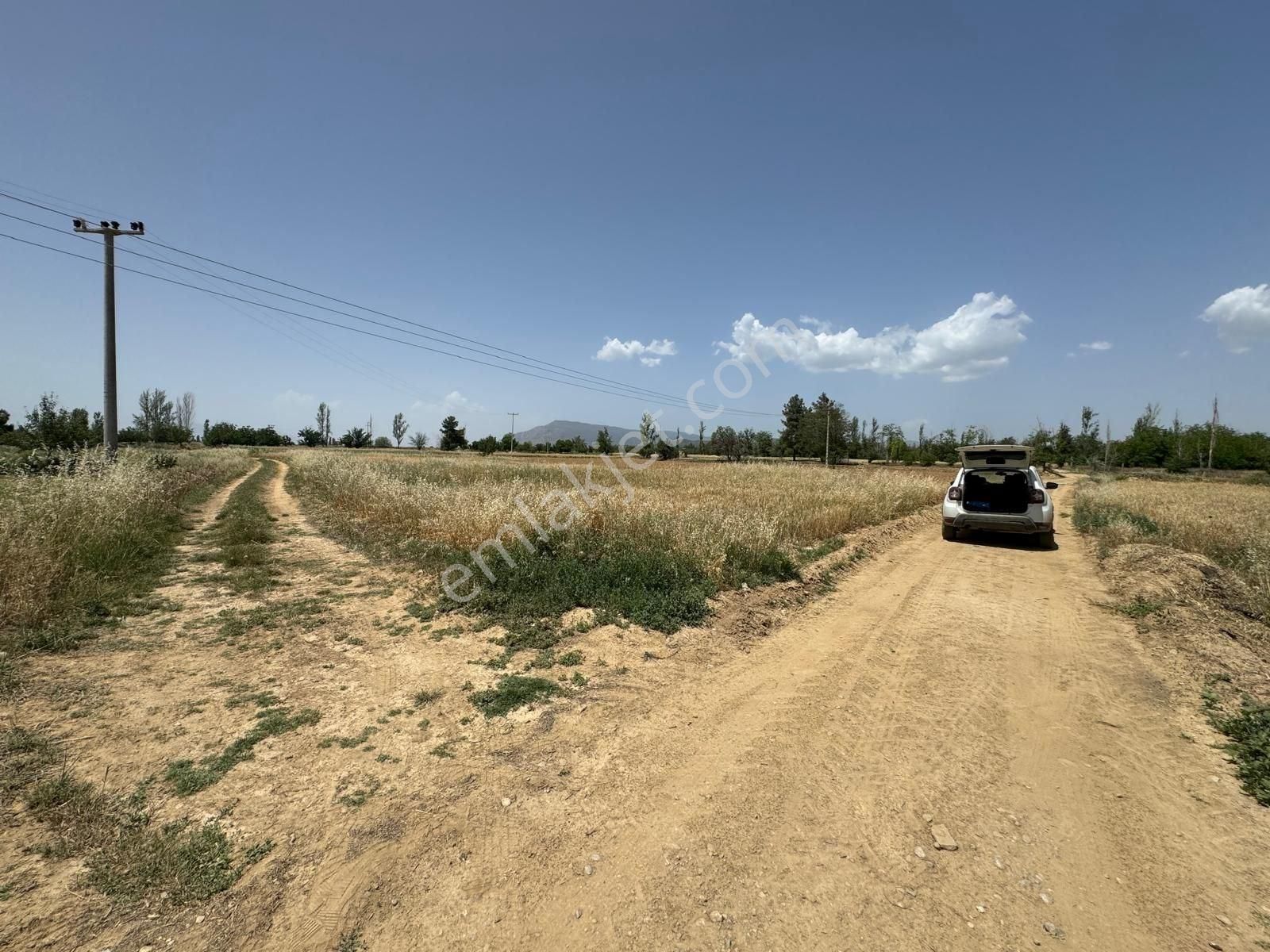 Dazkırı Aşağıyenice Köyü Satılık Tarla DAZKIRI MERKEZ YERLEŞİME YAKIN KÖŞE PARSEL FIRSAT ARAZİ