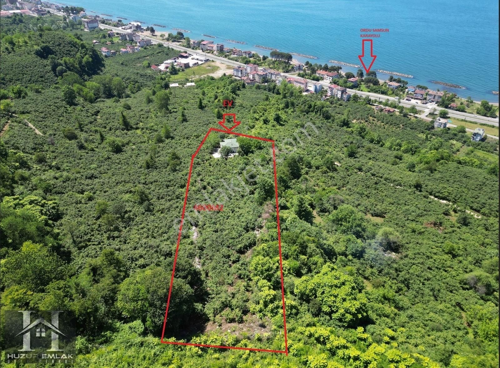 Fatsa Bolaman Satılık Bağ & Bahçe İÇERİSİNDE YENİ YAPILMIŞ MÜSTAKİL EVİ İLE 4600M2 BAHÇE SATILIK