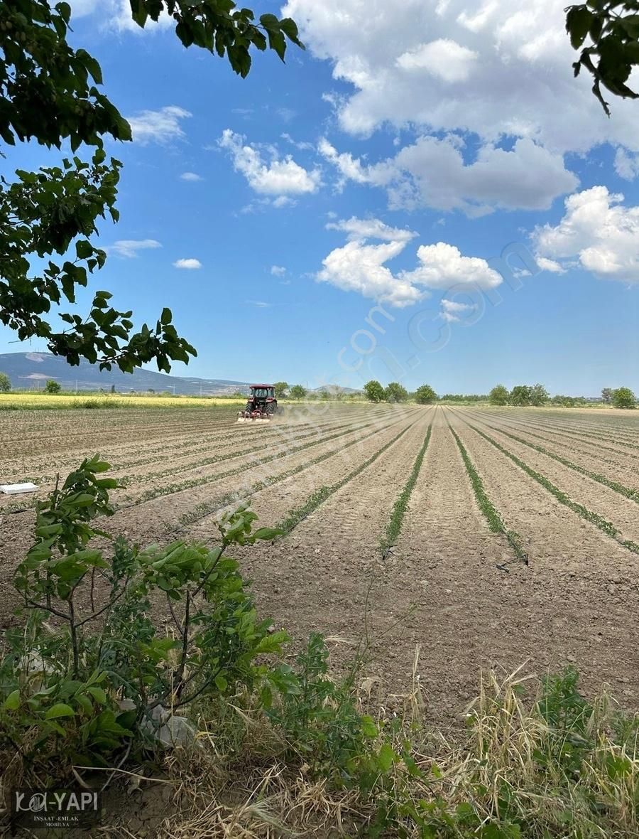 Karacabey Canbalı Satılık Tarla Ka-yapı'dan Canbalı'da Yatırımlık 5000 M2 Tarla