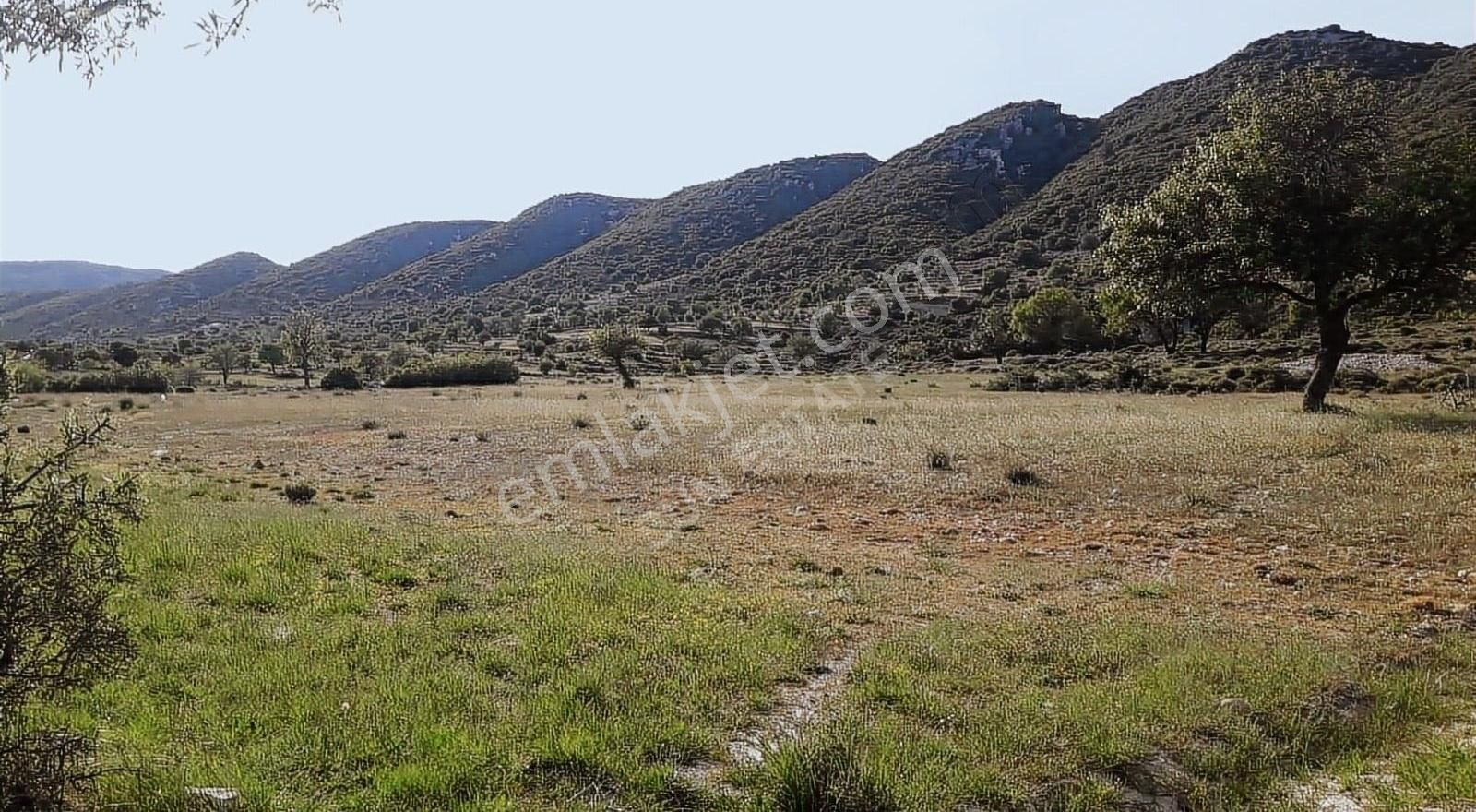 Kaş Sarıbelen Satılık Tarla Kaş Sarıblen Köyünde Yatırımlık Tarla