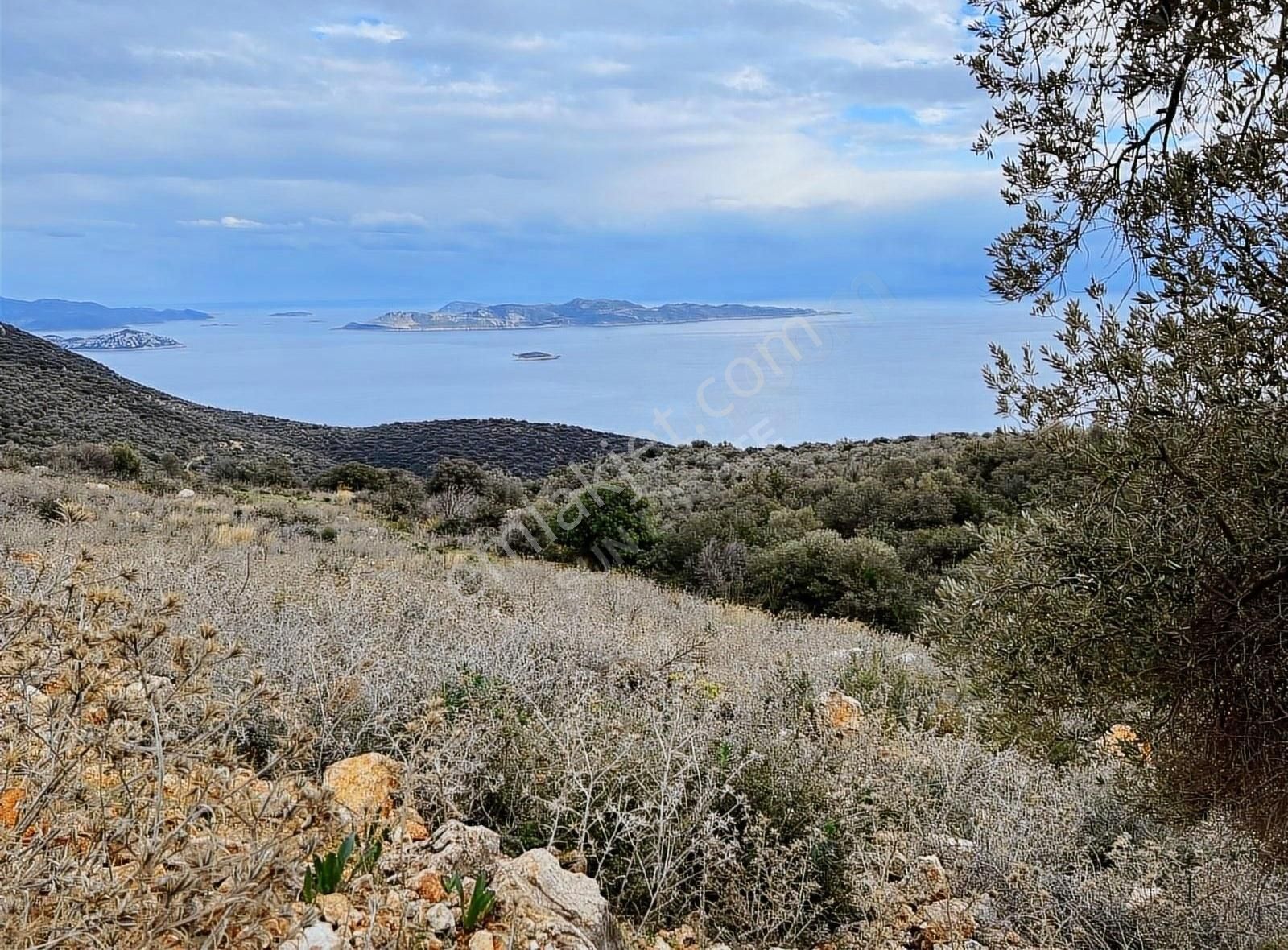 Kaş Sarıbelen Satılık Tarla Kaş Sahil Sarıbelende Tektapu