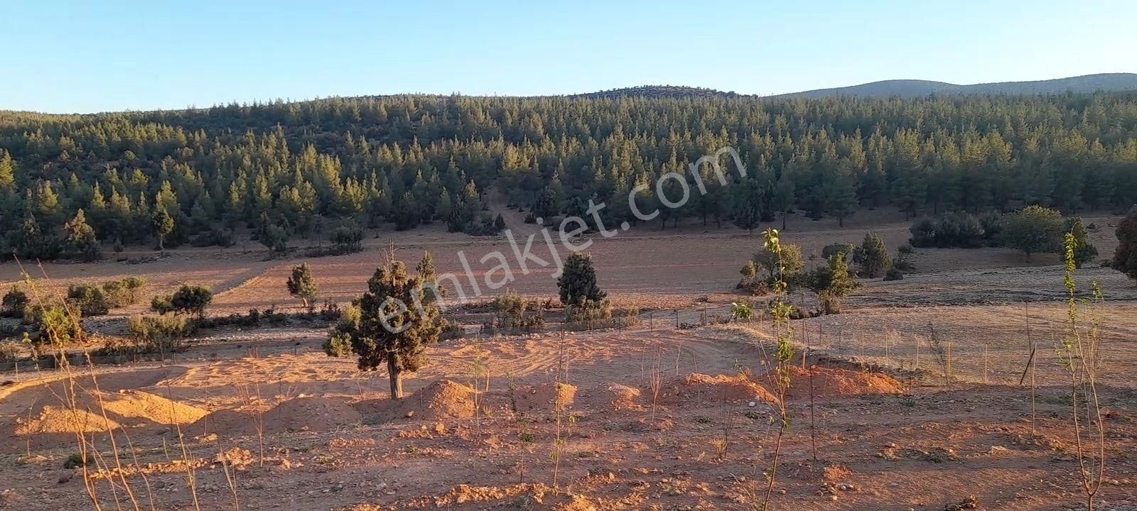 Antalya Korkuteli Tatköy Beğiş - Görsel 6