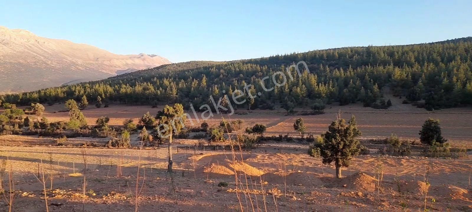 Antalya Korkuteli Tatköy Beğiş - Görsel 2