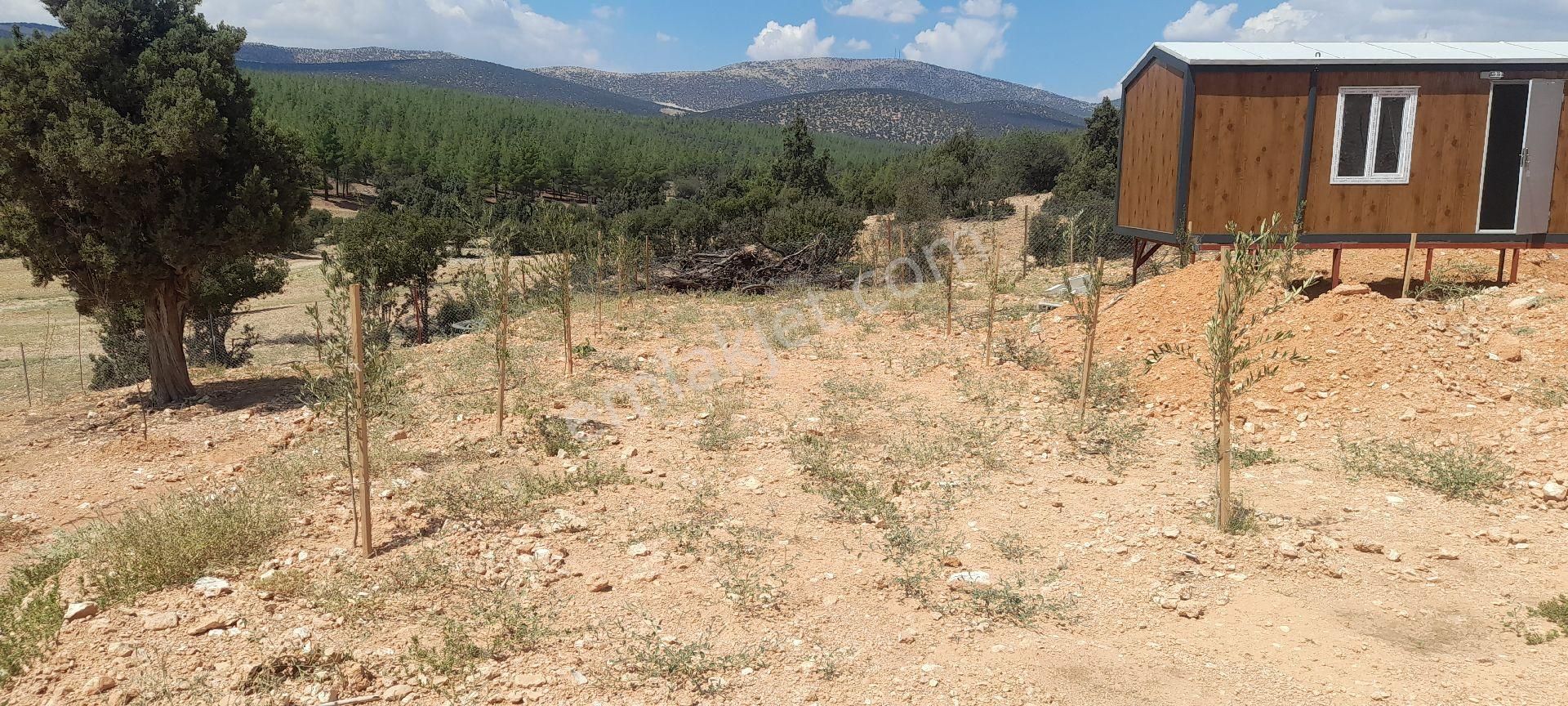 Antalya Korkuteli Tatköy Beğiş - Görsel 30