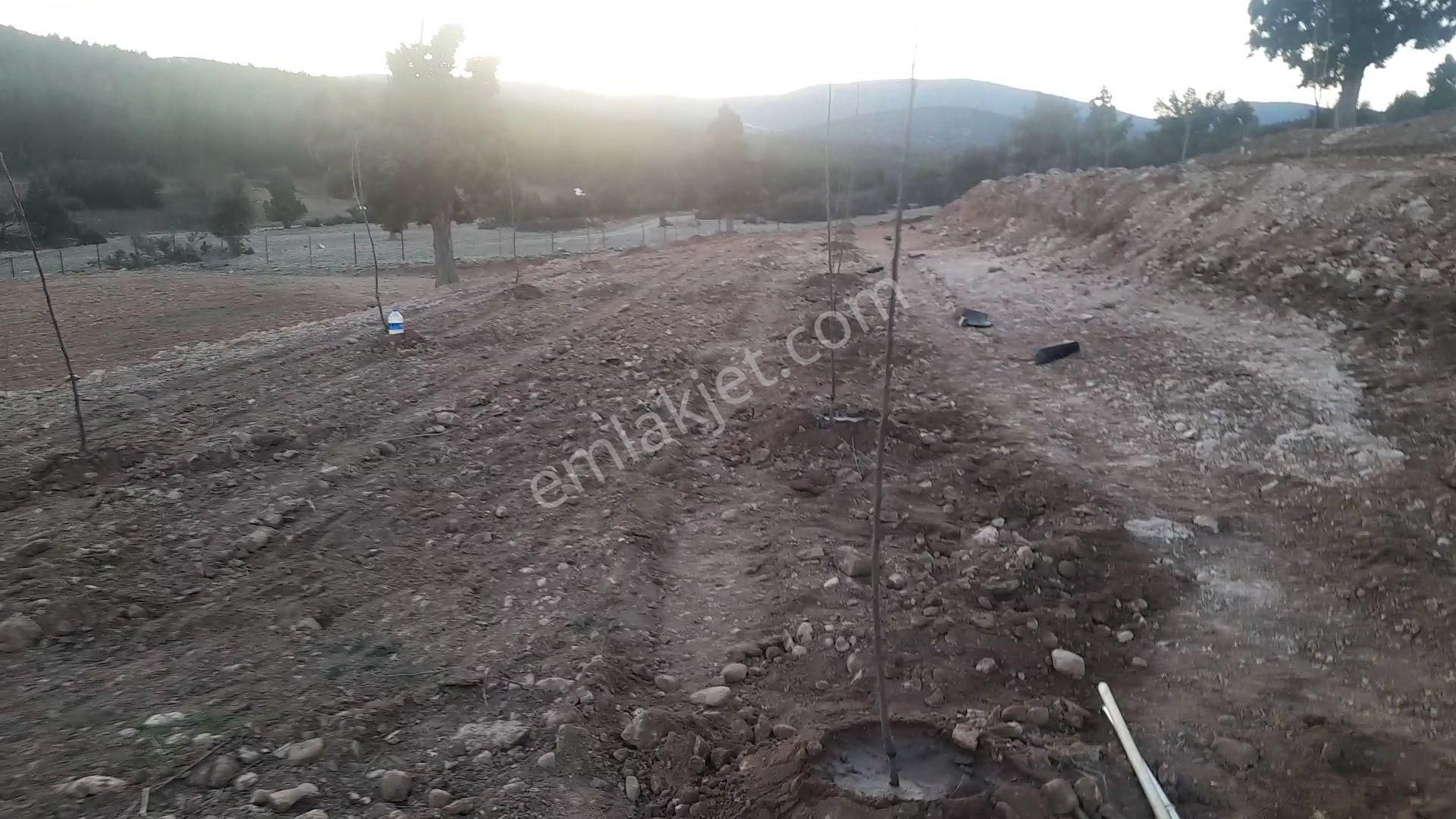 Antalya Korkuteli Tatköy Beğiş - Görsel 15