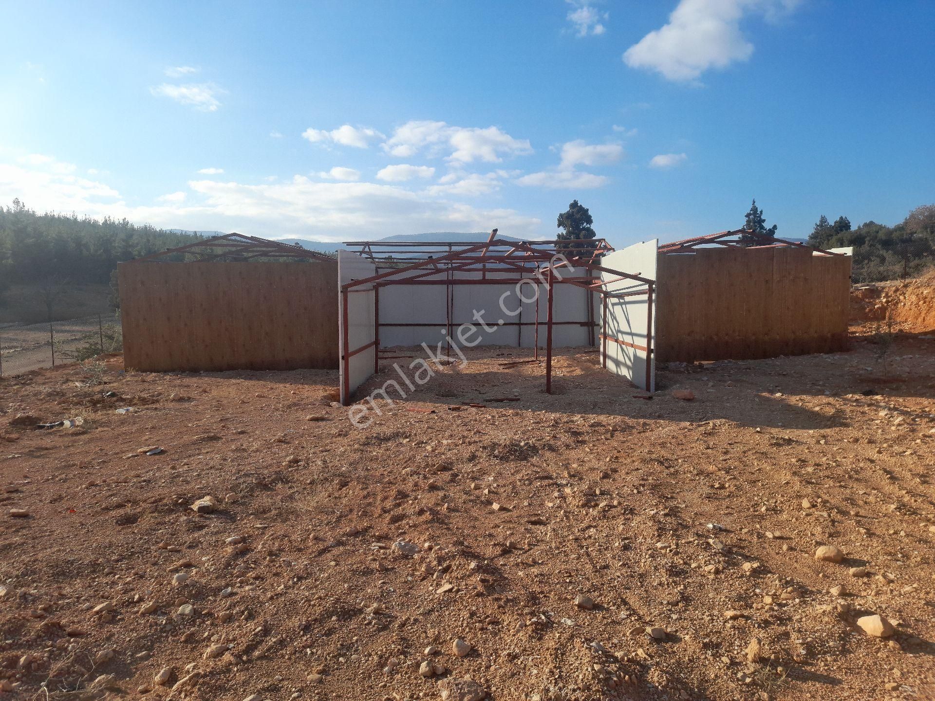 Antalya Korkuteli Tatköy Beğiş - Görsel 32