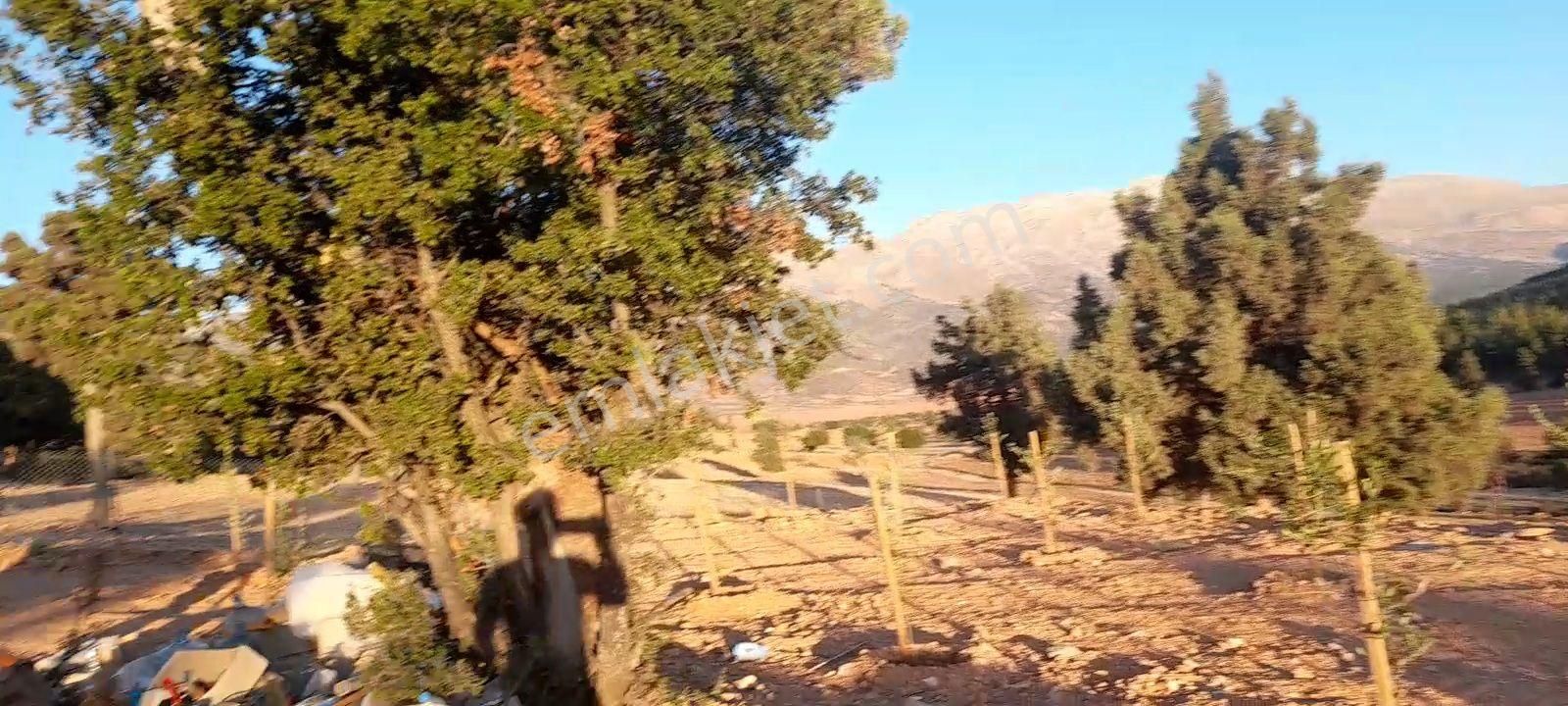 Antalya Korkuteli Tatköy Beğiş - Görsel 10