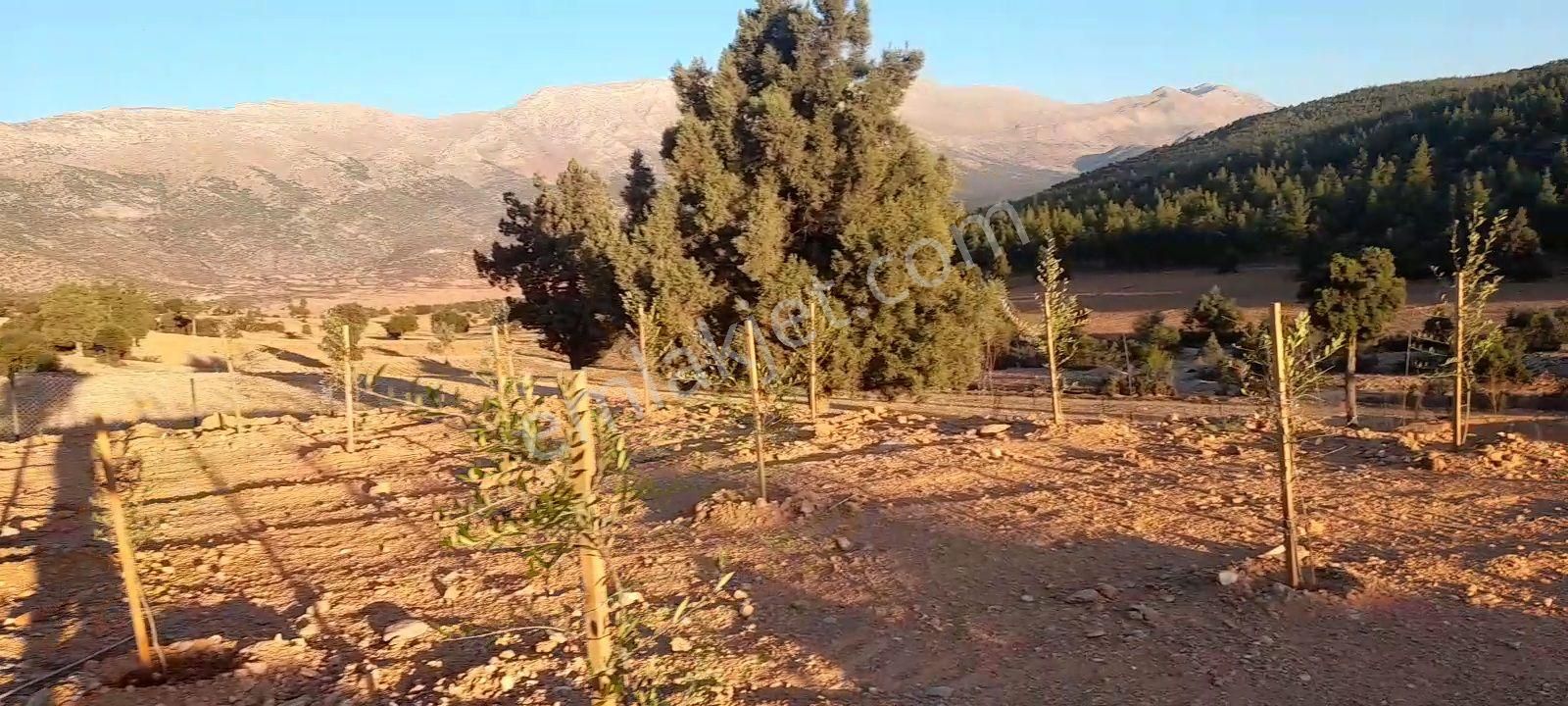 Antalya Korkuteli Tatköy Beğiş - Görsel 9