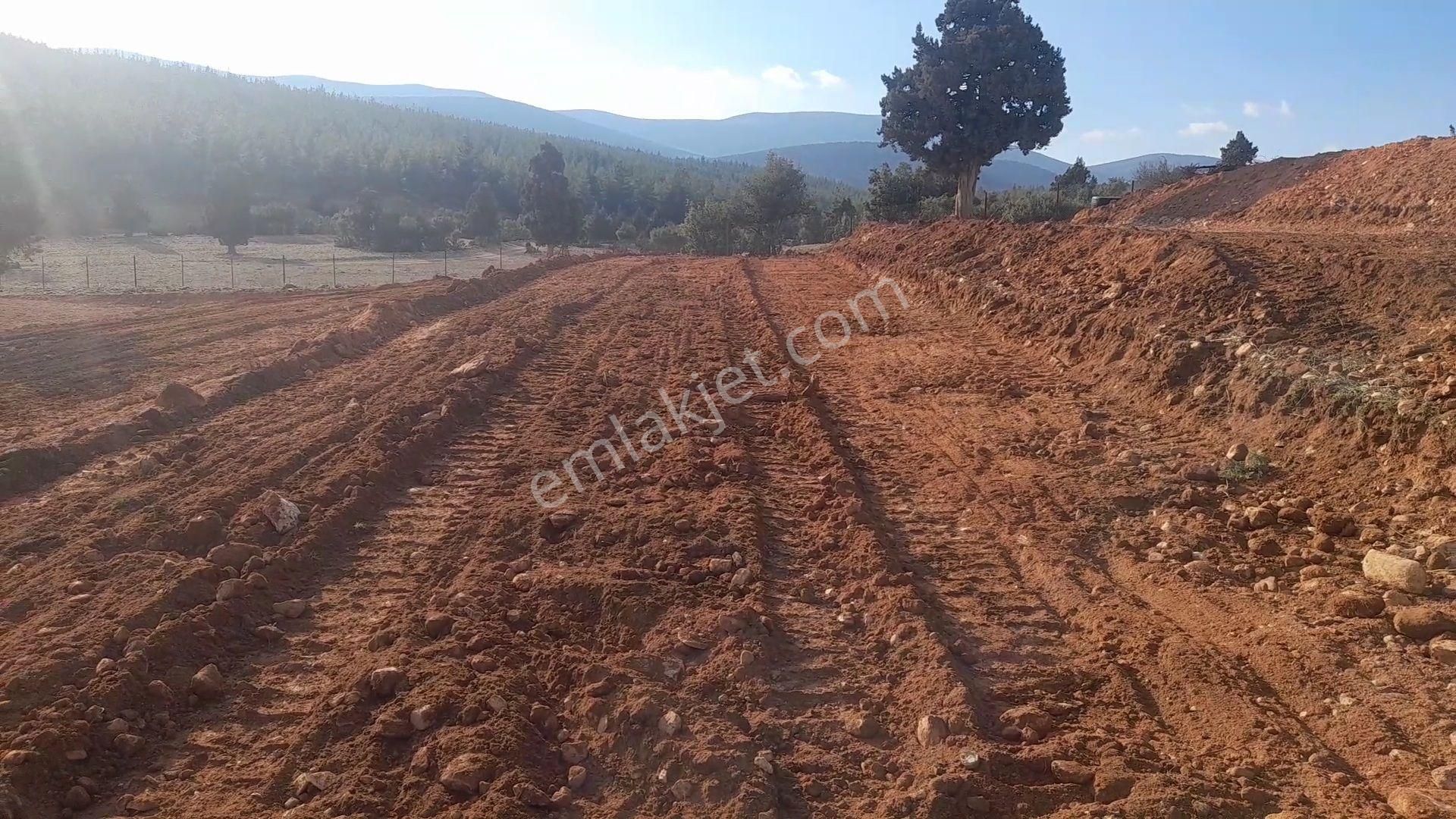 Antalya Korkuteli Tatköy Beğiş - Görsel 16