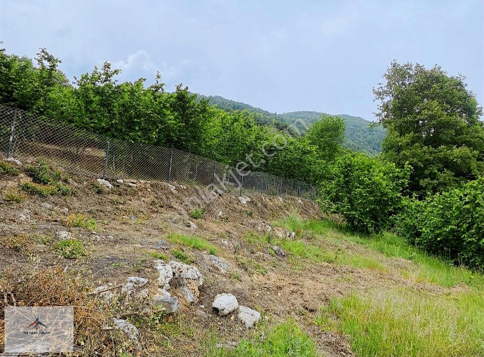 Doğası Ve Harika Manzarası İle Satılık Fındık Bahcesi - Görsel 31