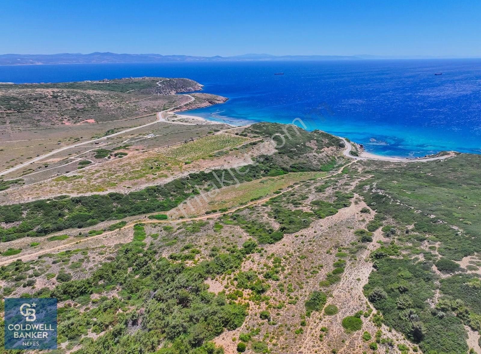 Bozcaada Alaybey Satılık Tarla ÇANAKKALE BOZCAADA AYANA KOYUNA 25OM MESAFEDE 15228M2 GENİŞ ARSA