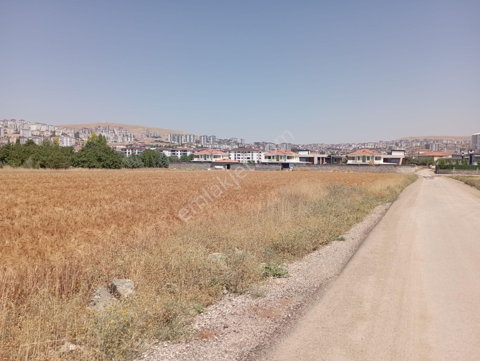 Elazığ Sürsürü Mahallesinde Yatırımlık Villa Arsası - Görsel 7