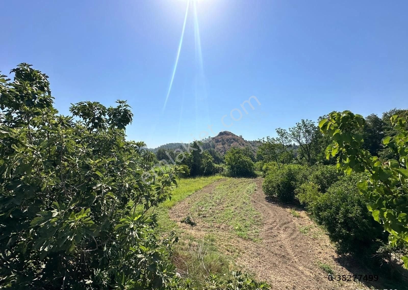 Ortaca Akıncı Da 1823 M2 Arsa Satılık - Görsel 3