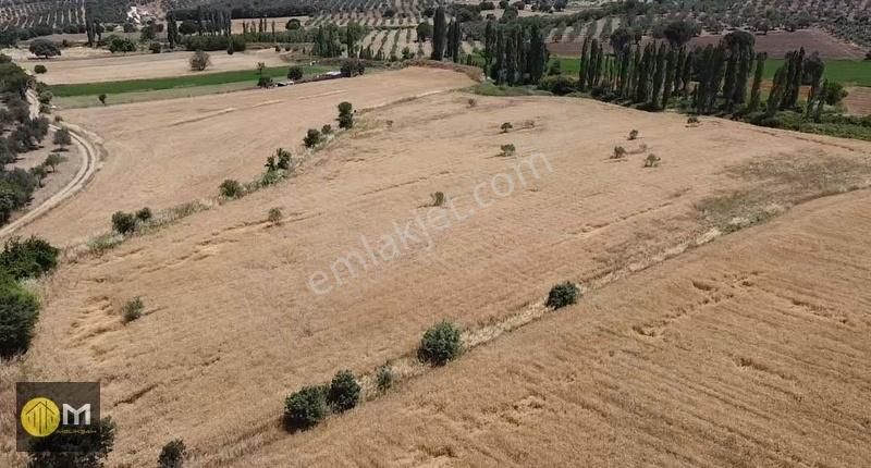 Burhaniye Yunuslar Satılık Tarla MELİKŞAH'TAN BURHANİYE YUNUSLAR'DA 16 DÖNÜM YATIRIMLIK TARLA