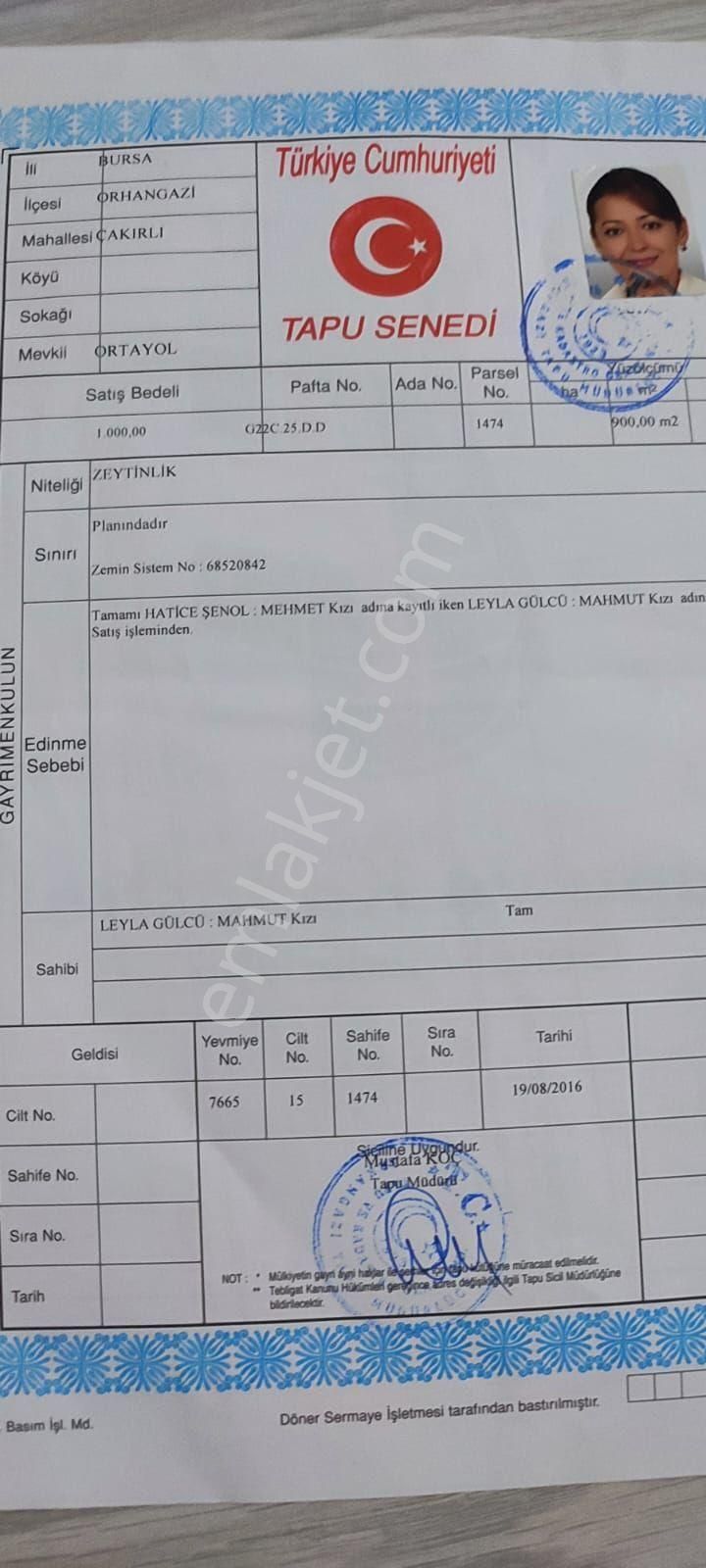 Bursa Orhangazi Çakırlı Mahallesinde Hobi Bahçesi - Görsel 15