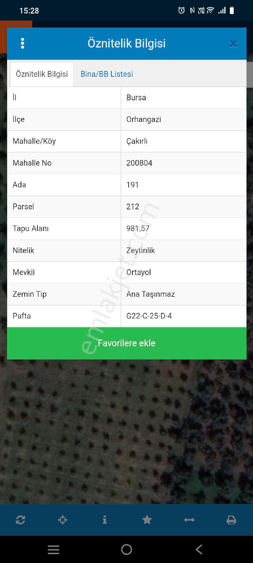 Bursa Orhangazi Çakırlı Mahallesinde 981 M Kare Zeytinlik - Görsel 3