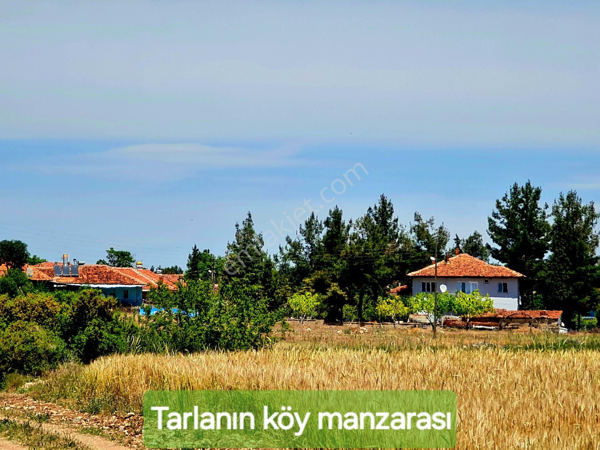 Ulubey Büyükkayalı Köyü Satılık Tarla Uşak Ulubey Büyükkayalı Köyünün İçinde 1.181 m2 Uygun Tarla. İlan Açıklamasını Okuyarak Arayınız.