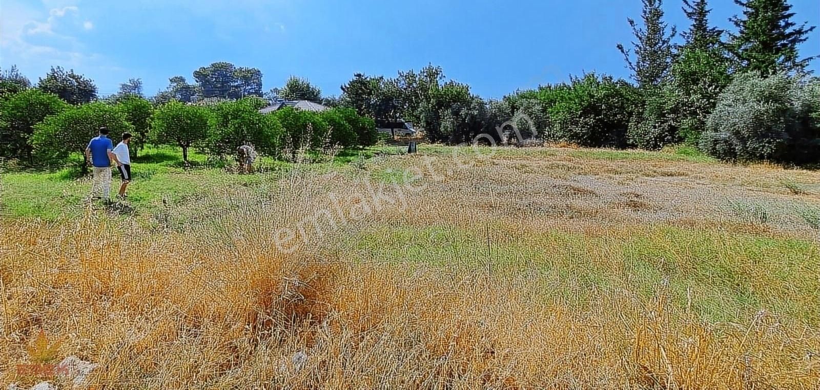 Konyaaltı Çakırlar Satılık Tarla Konyaaltı Çakırlarda hurmaya 5 km arazi