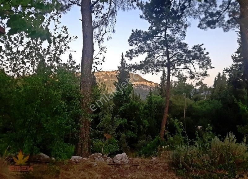 Kemer Ulupınar Satılık Muhtelif Arsa ULUPINAR'DA SATILIK DUBLEKS EV VE BUNGALOW 7 DÖNÜM ARAZİ