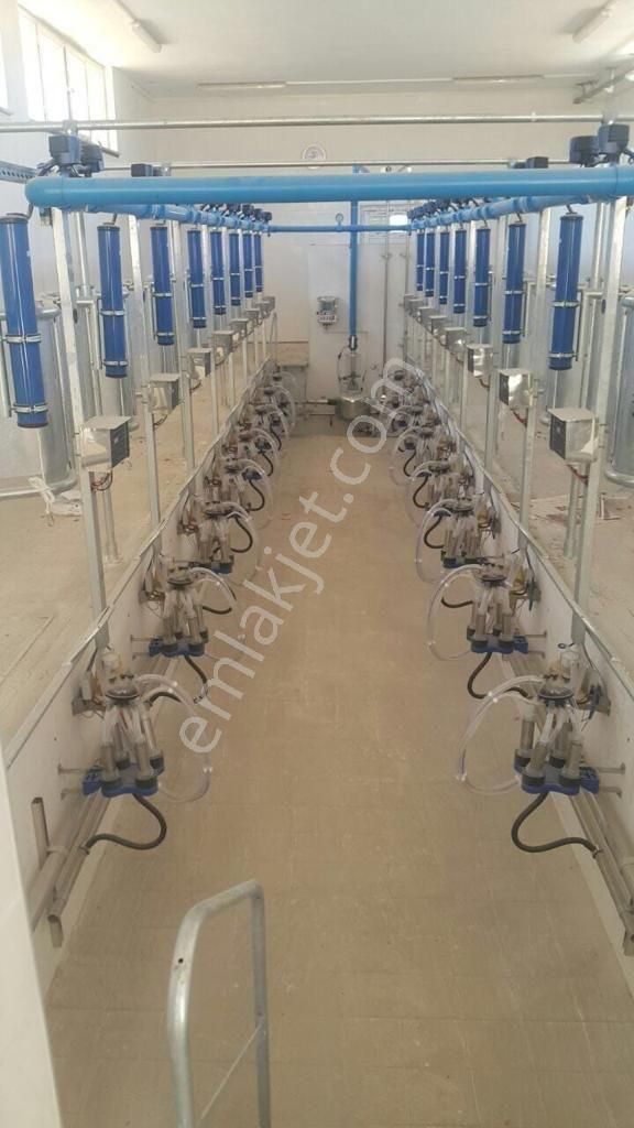 Satılık Tefenni Hazır Kurulu Ciftlik - Görsel 13