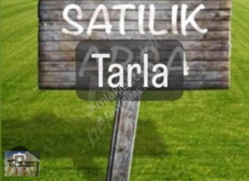 Aksu Yeşilkaraman Satılık Tarla A GAYRİMENKUL DEN AKSU YEŞİLKARAMANDA SATILIK TARLA