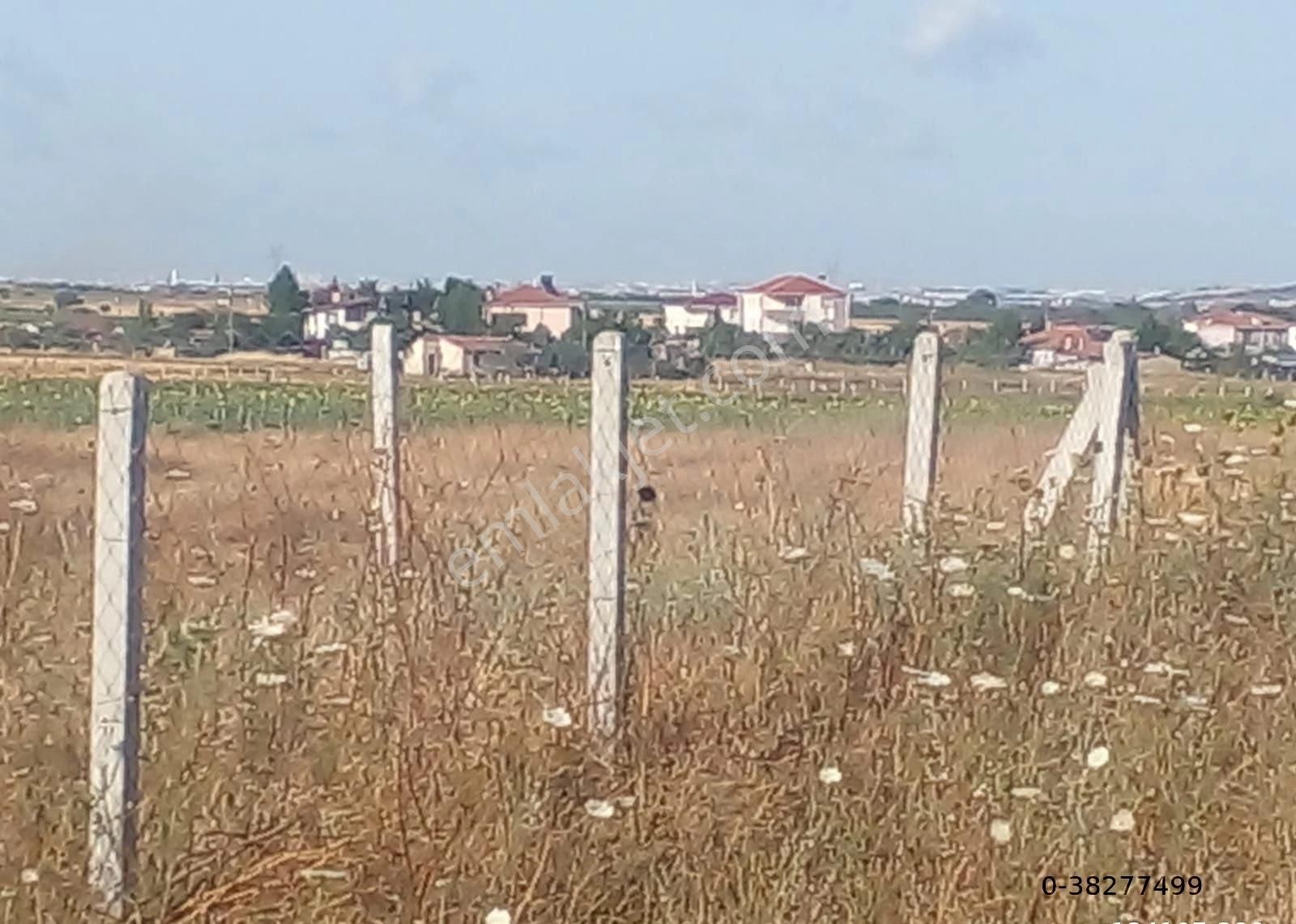 Ergene Yulaflı Satılık Bağ & Bahçe Satılık Arsa Yulaflı